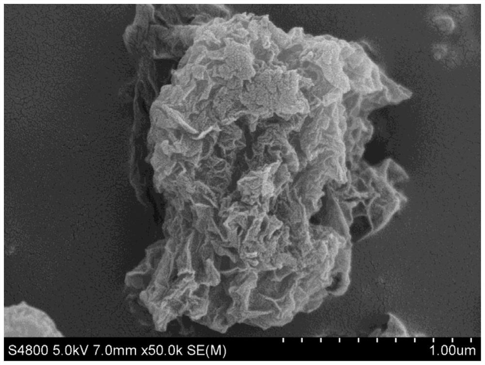 Single-layer wrinkled graphene and its preparation method and use