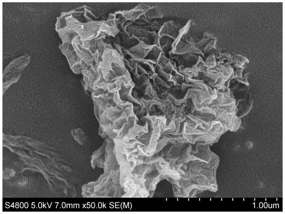 Single-layer wrinkled graphene and its preparation method and use