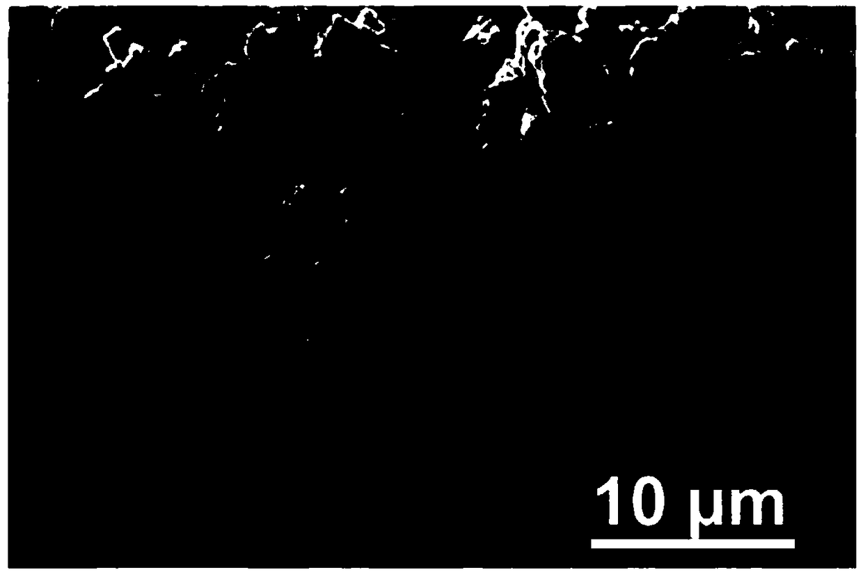 Method for preparing halide perovskite caesium lead bromide quantum dot based on liquid-phase laser irradiation