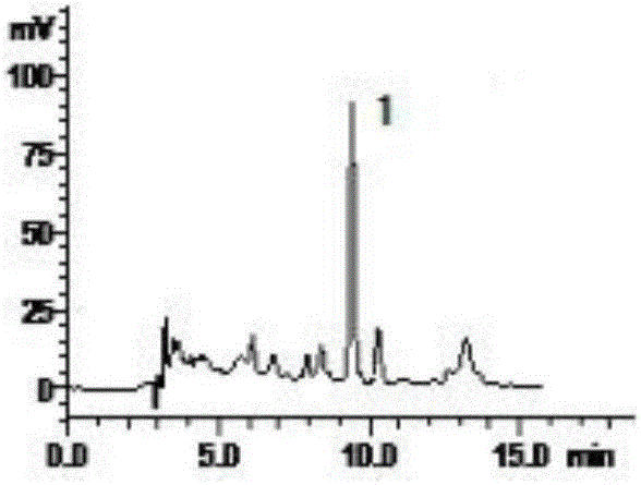 SPE-HPLC method for determining content of phellodendrine in Leshu lotion