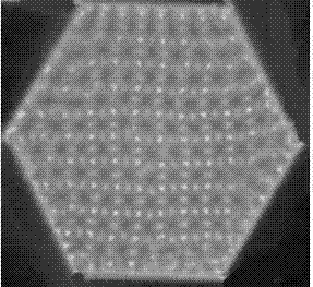 Device and method for generating nested plasma photonic crystals with multiple nesting structures