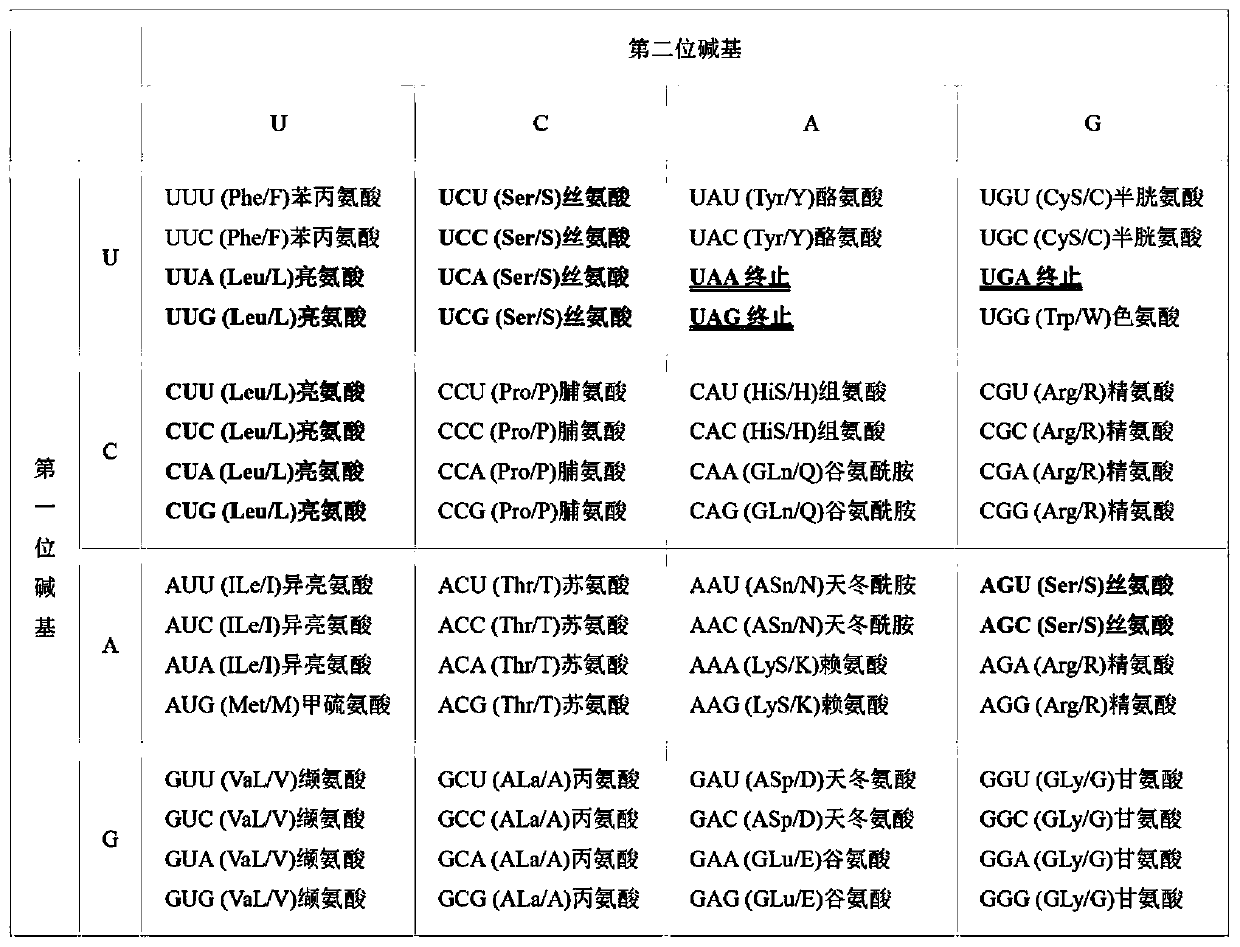 Gene sequence modification method based on codon synonymous mutation of codon and its application in vaccine preparation