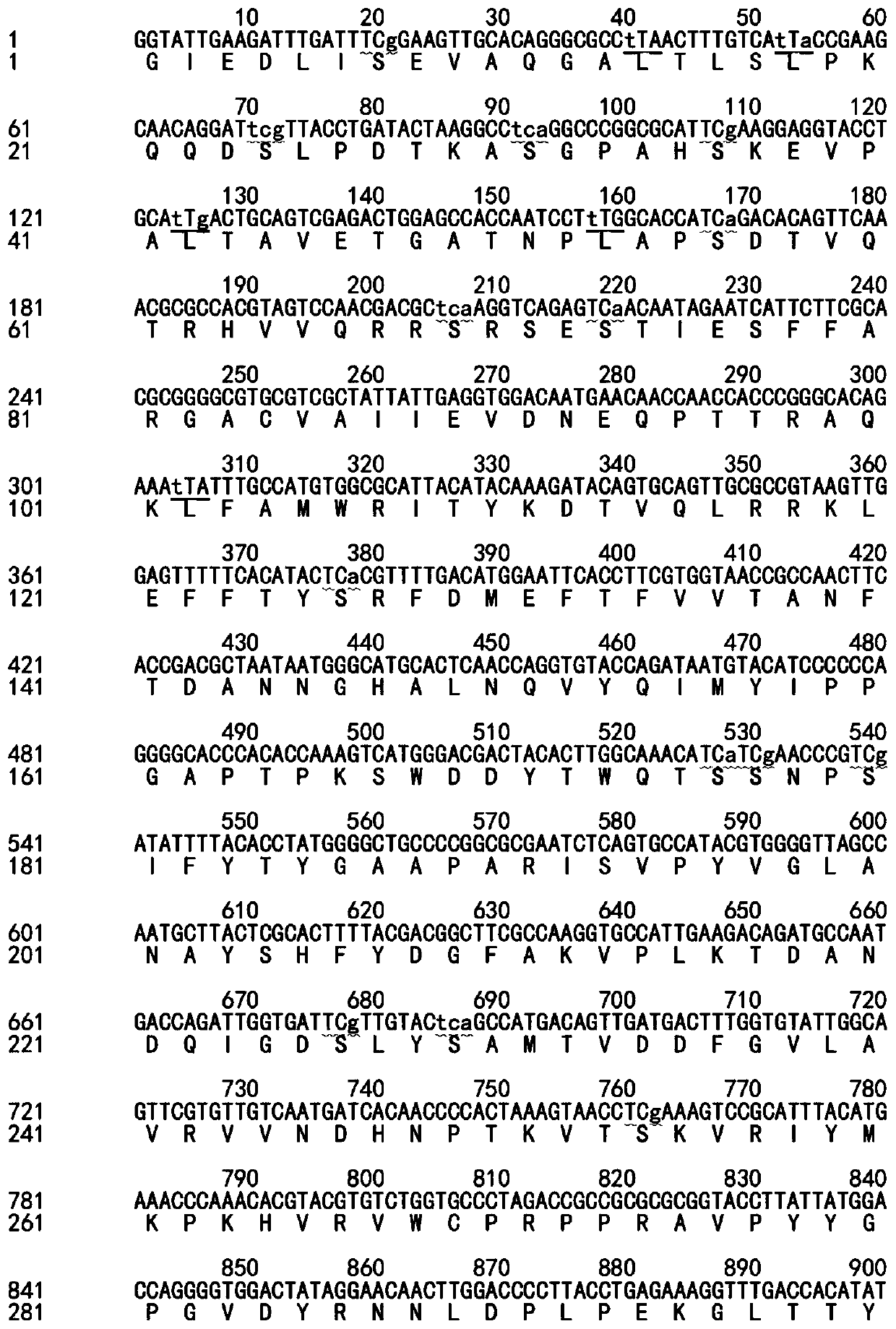 Gene sequence modification method based on codon synonymous mutation of codon and its application in vaccine preparation