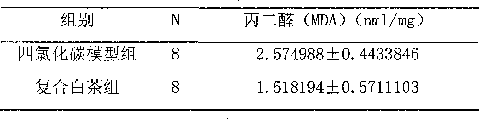 Liver-protecting white tea and preparation method thereof