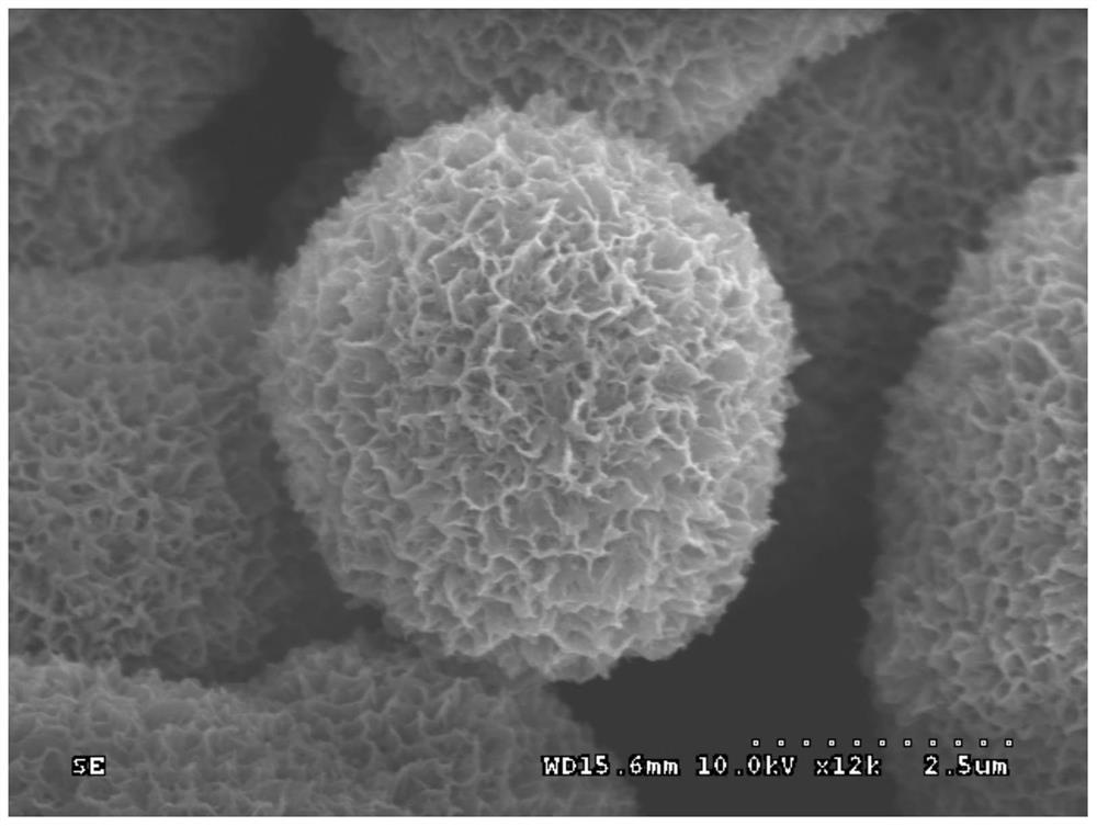 Graphite-phase carbon nitride-modified silicon oxide porous microsphere-supported heterogeneous rhodium catalyst and preparation method and application thereof