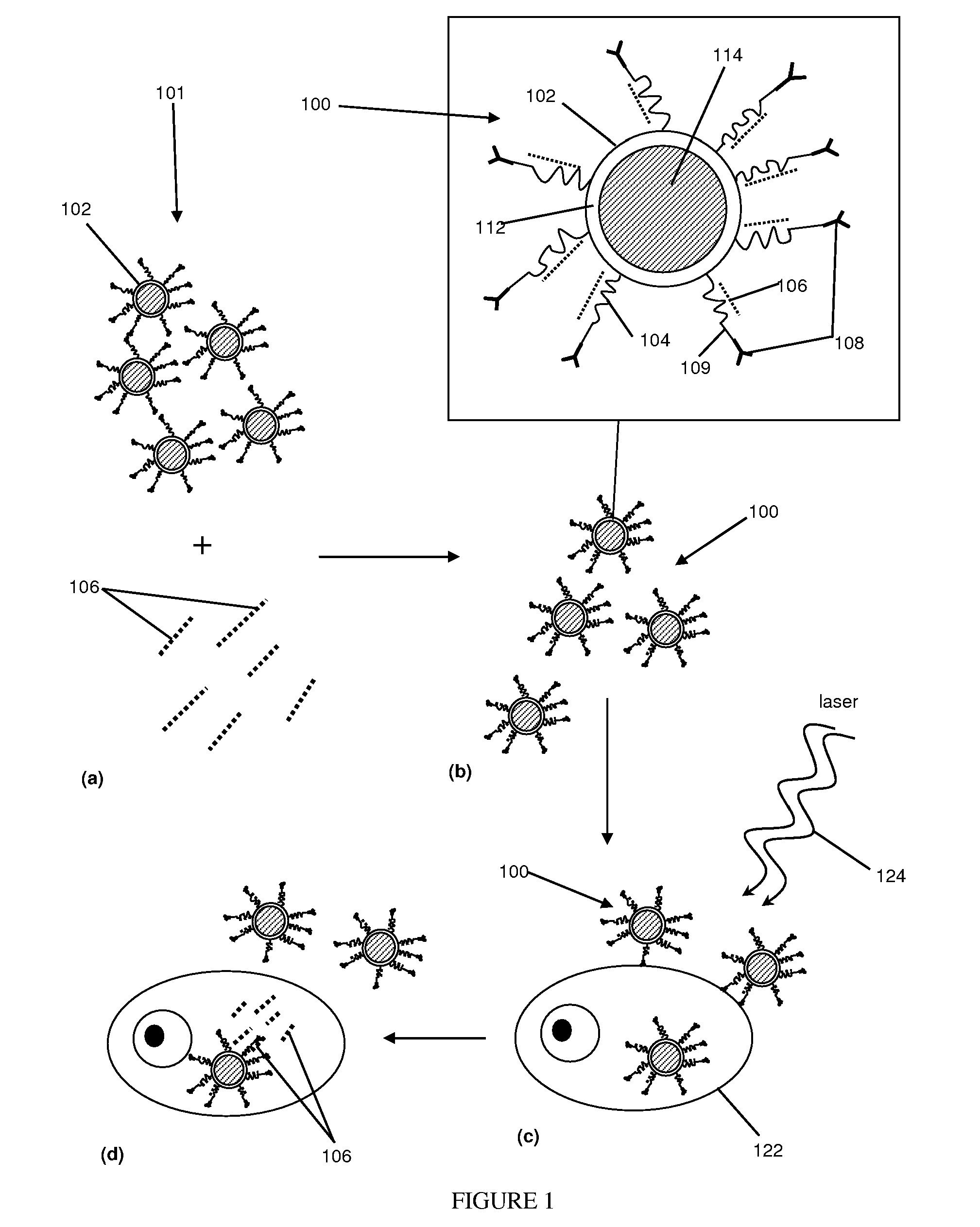 Composition for Targeted Drug Delivery and Controlled Release