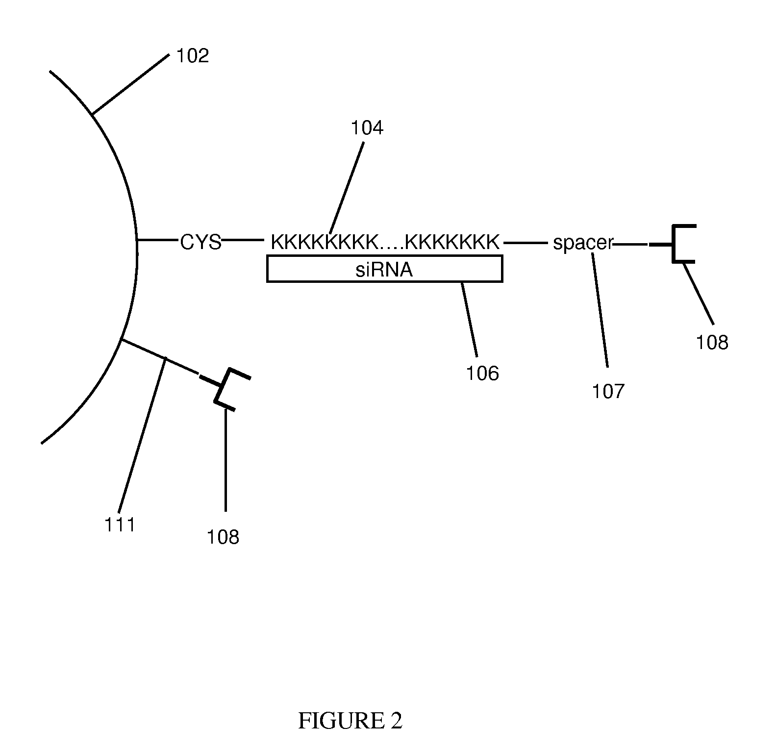Composition for Targeted Drug Delivery and Controlled Release
