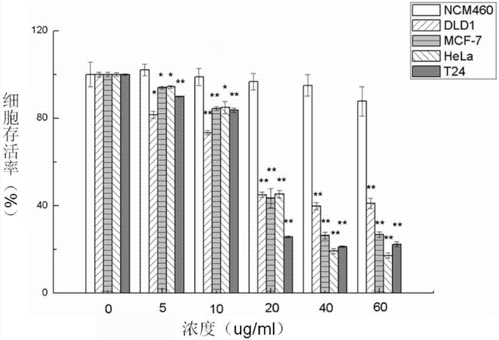 Trichosanthes kirilowii anti-tumor activity protein as well as preparation method and application thereof