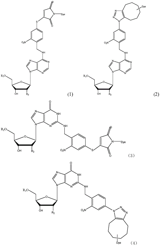 Light-fractured fluorescence-labeling reversible terminal compound and use thereof in DNA (Deoxyribonucleic Acid) or RNA (Ribonucleic Acid) sequencing