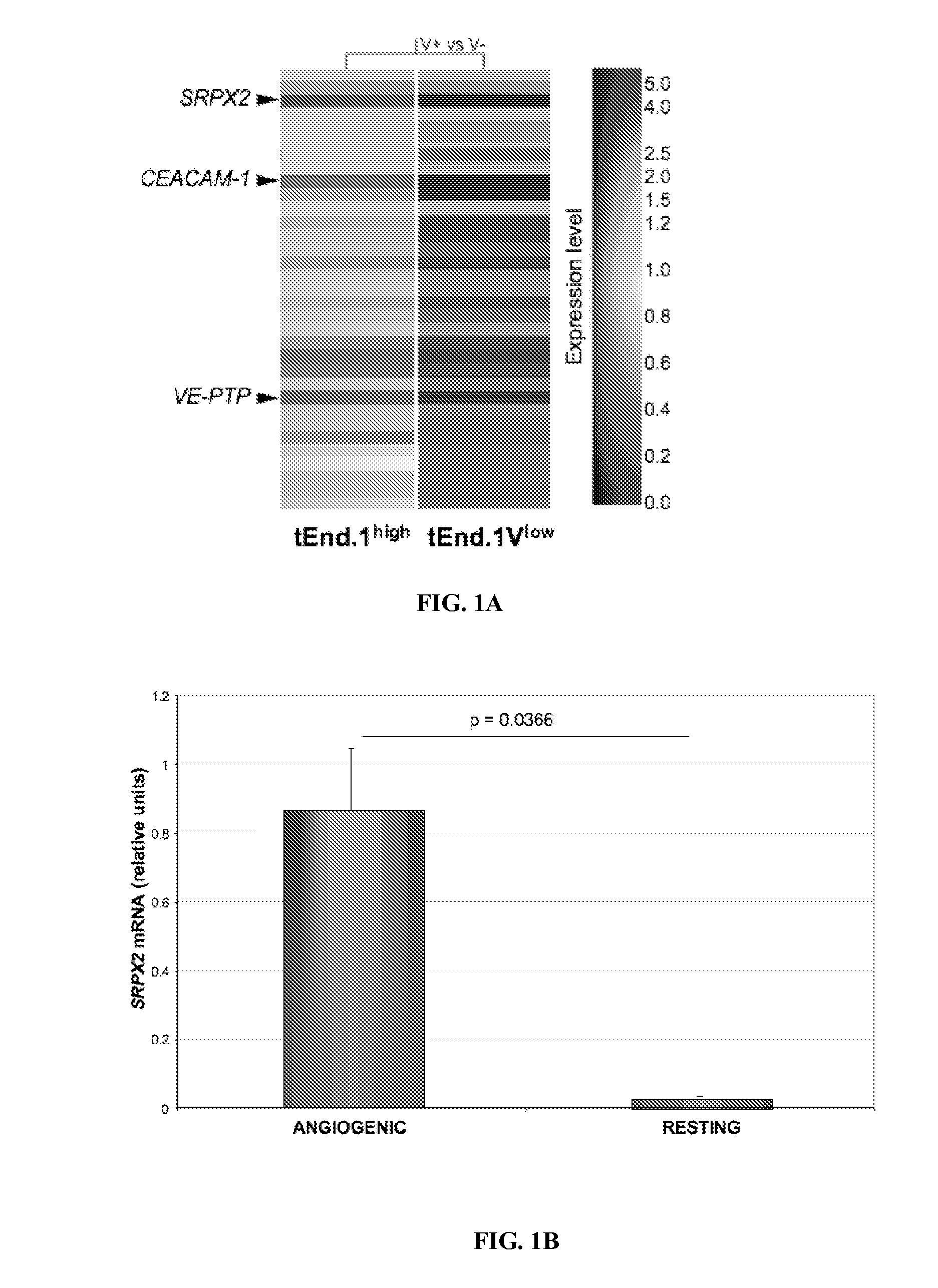 Modulation of srpx2-mediated angiogenesis