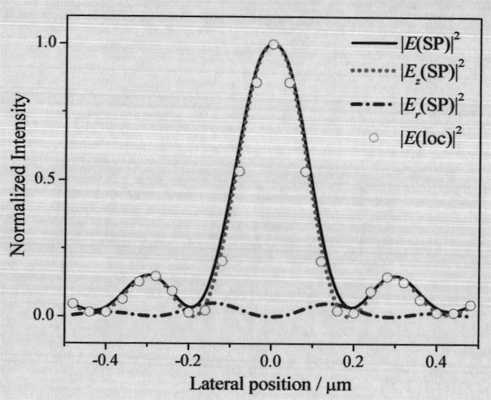 Surface plasmon longitudinal field scanning near-field optical microscope device and detection method
