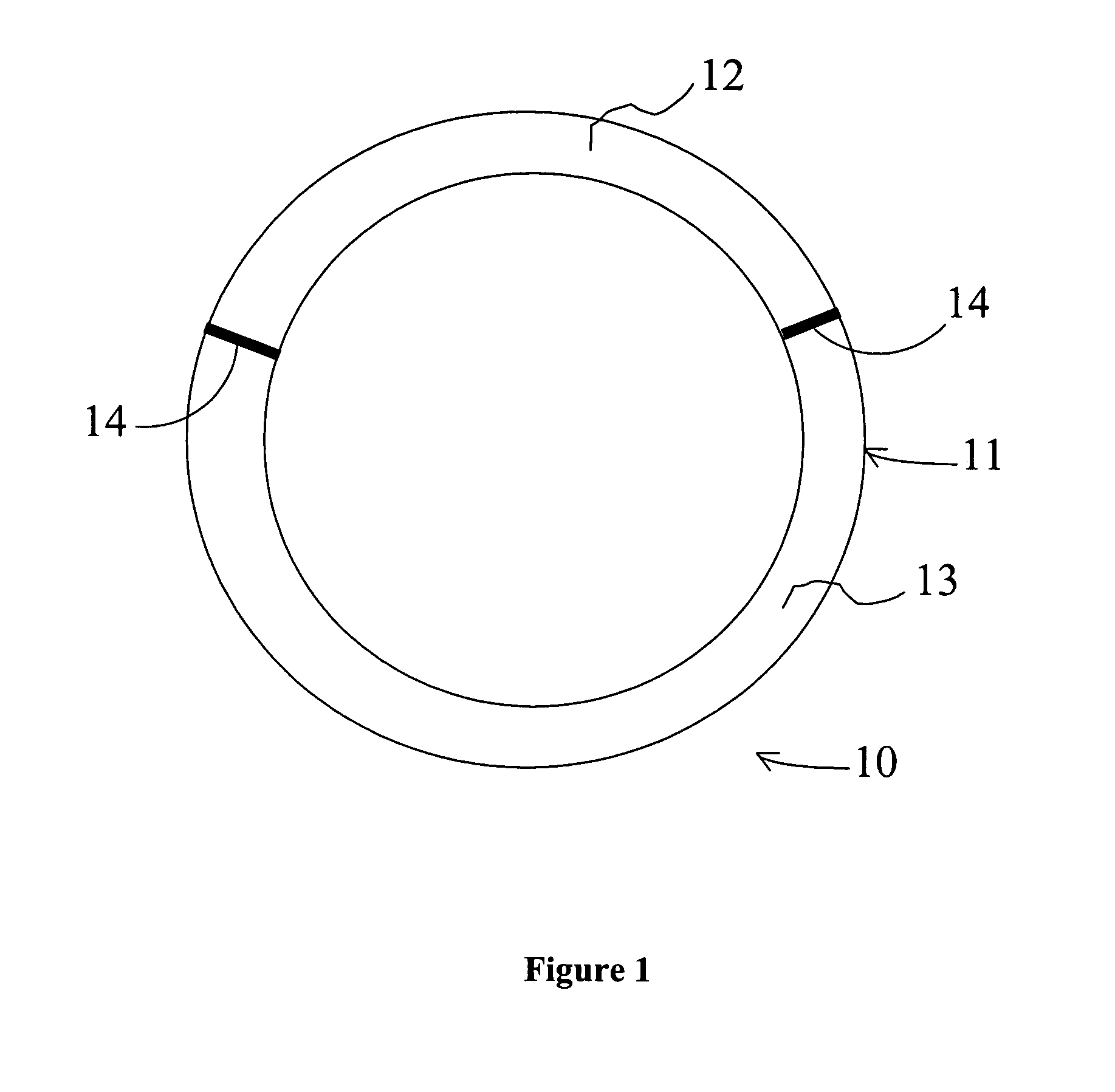 Methods and devices for the sustained release of multiple drugs