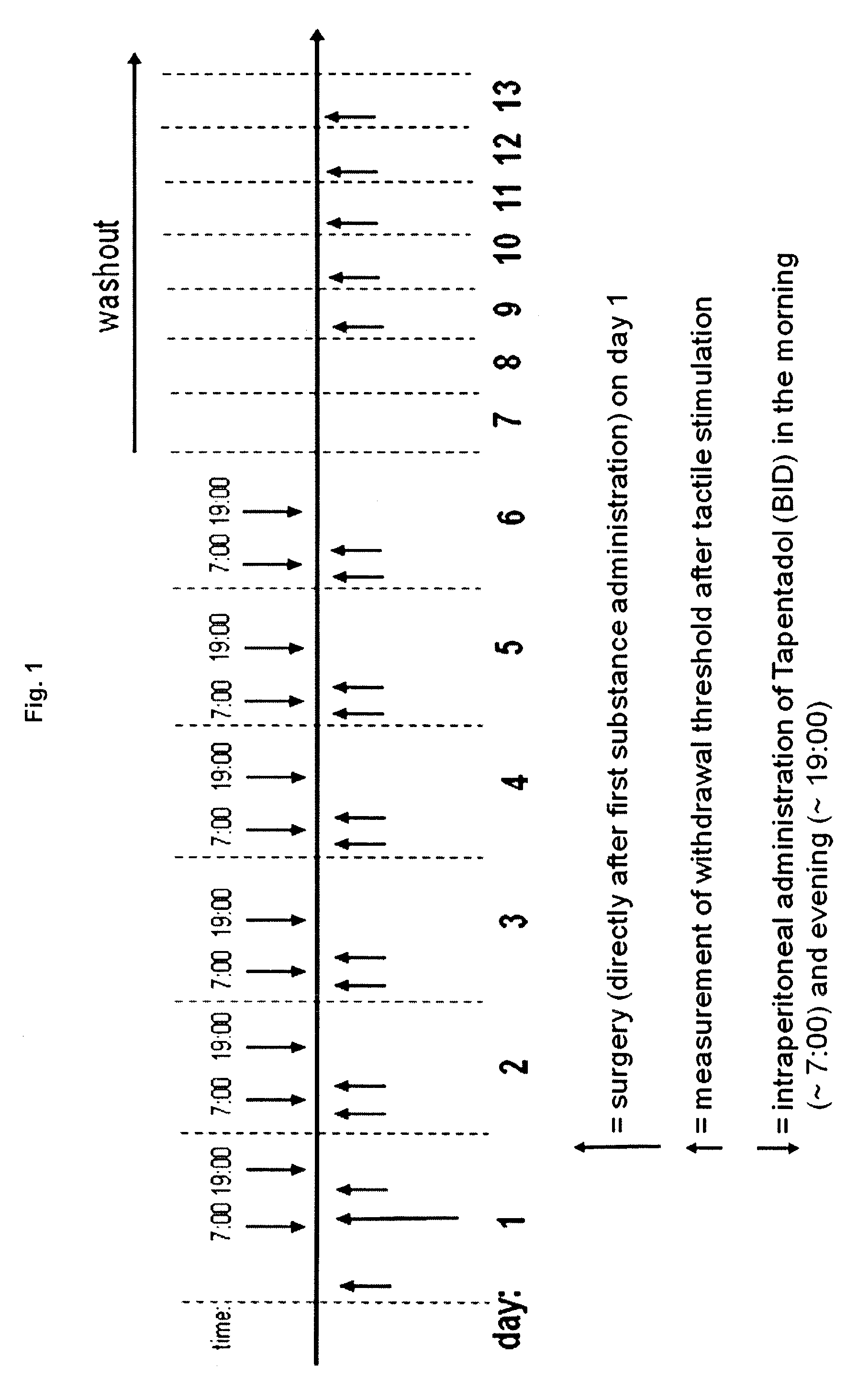 Method of Inhibiting Chronification of Pain