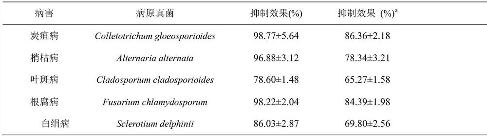 Application of streptomyces diastatochromogenes metabolite in prevention and treatment of dendrobium officinale diseases