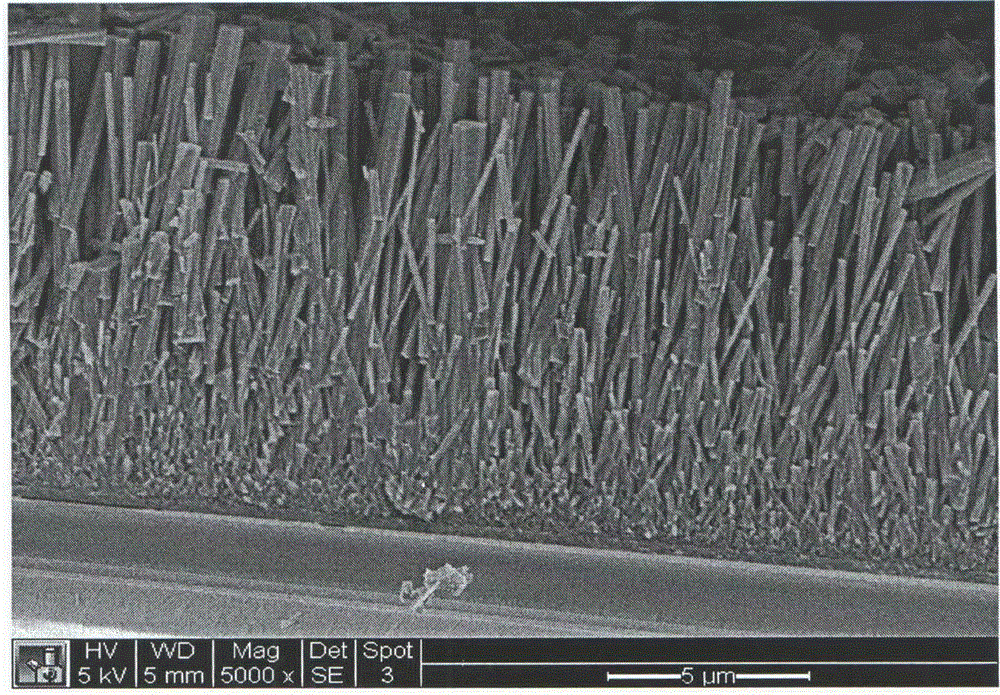ZnO nano-wire array synergistically modified by nano-Ag and TiO2 and preparation method of zinc oxide nano-wire array