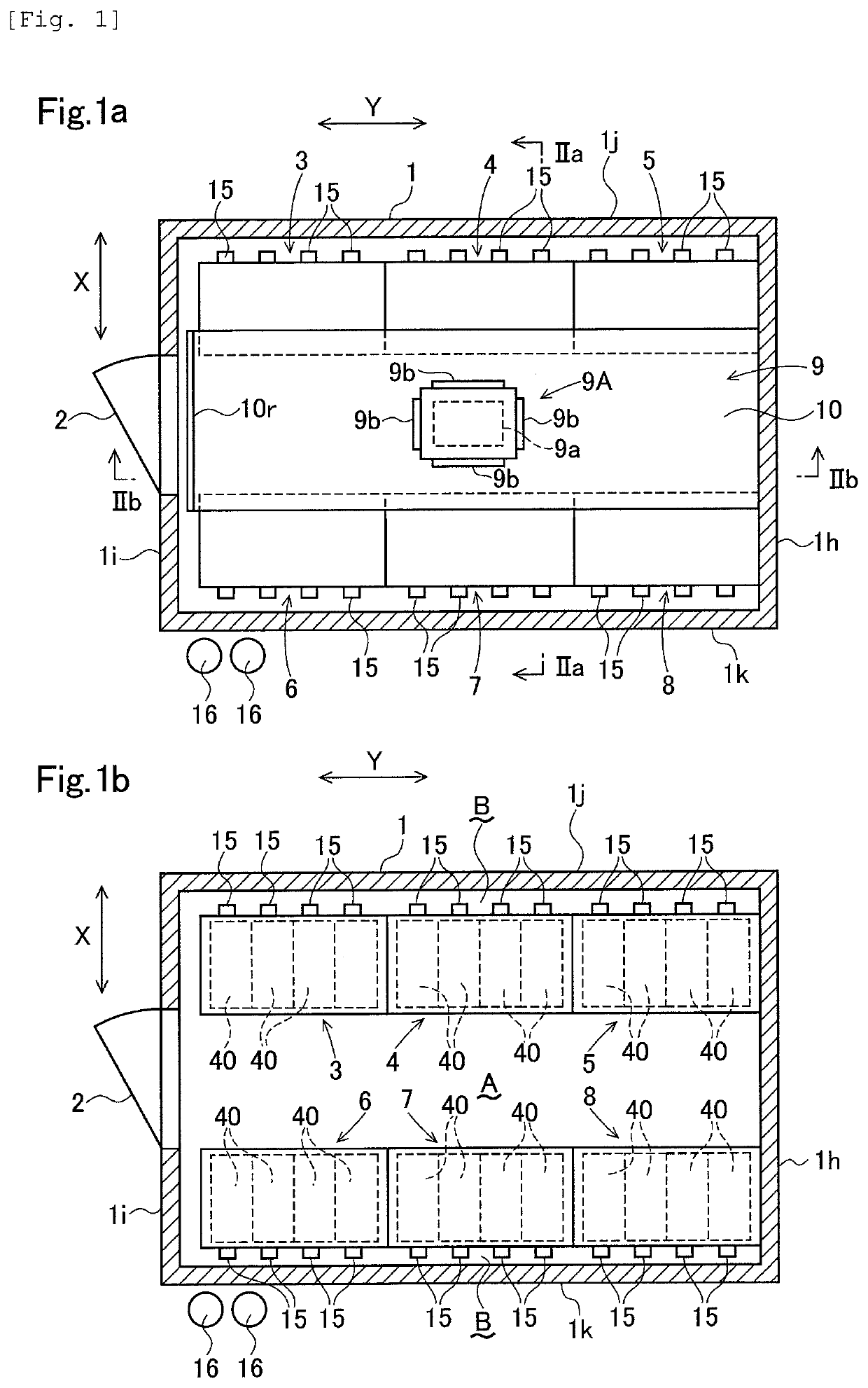 Cultivation apparatus and cultivation method for solanaceae seedlings