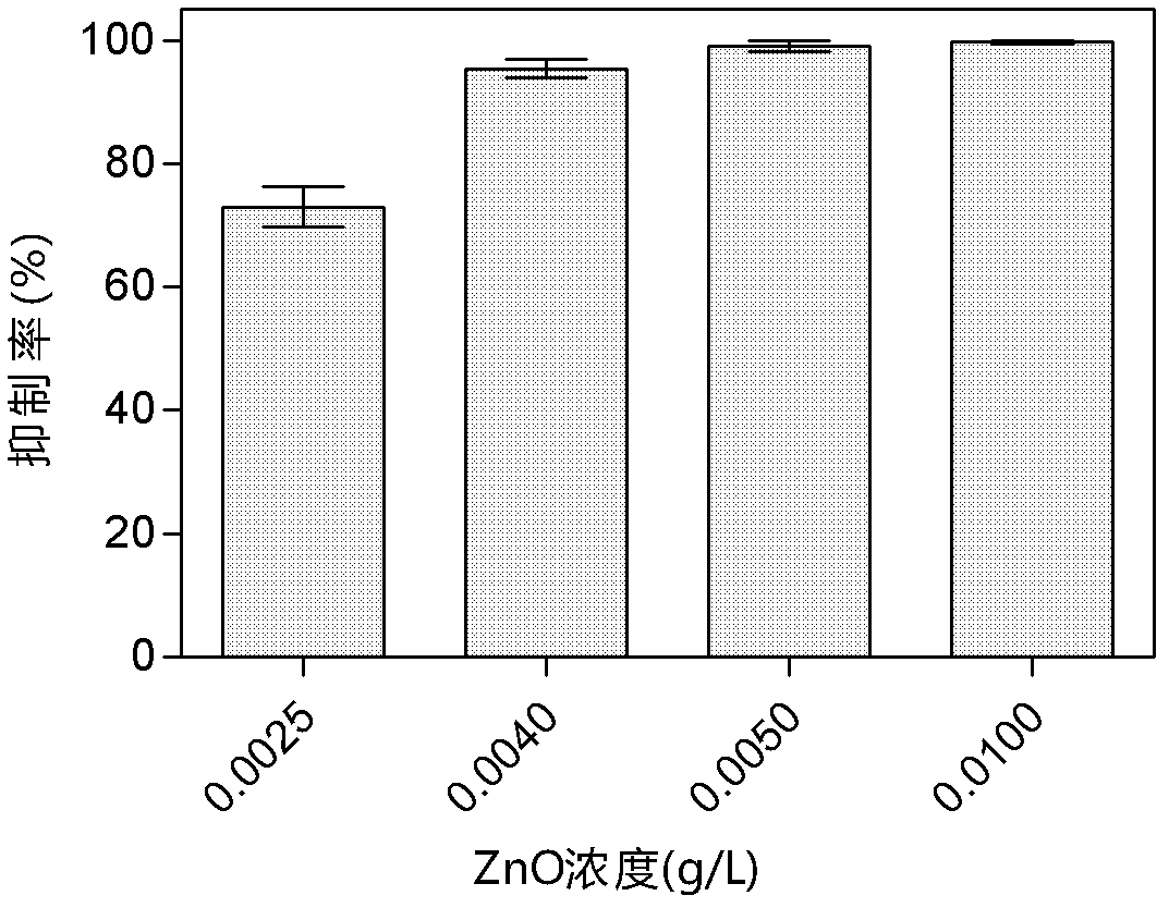 Application of ZnO nanomaterial in inhibiting activity of Erwinia carotovora subsp. carotovora