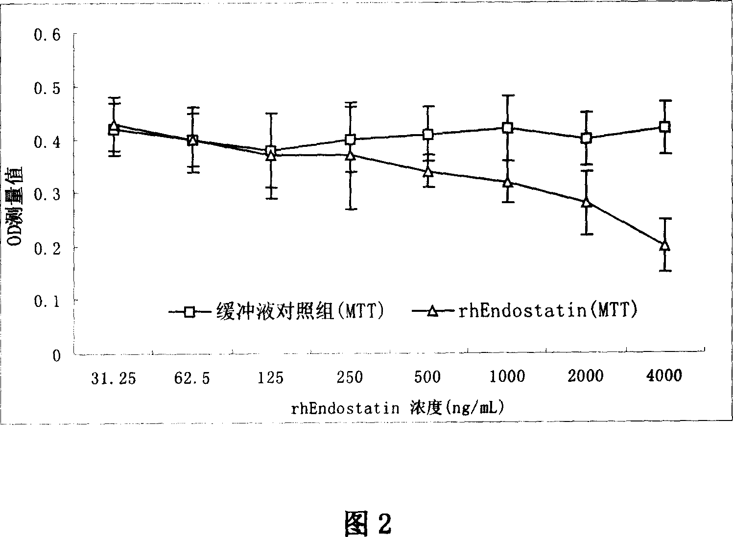 Quantitative measurement method of extracorporeal activity of recombinant human endostatin