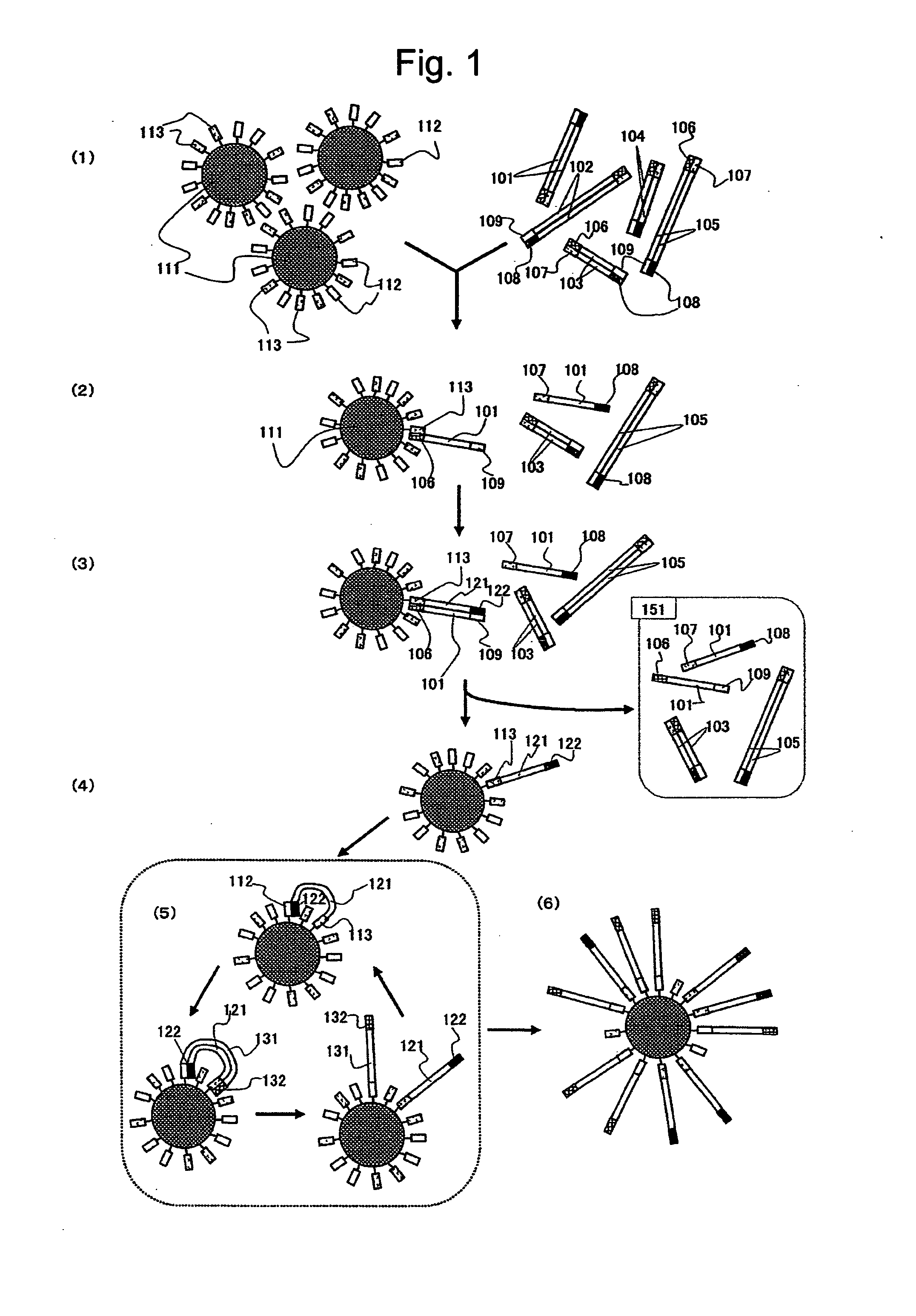 Large-scale parallel nucleic acid analysis method