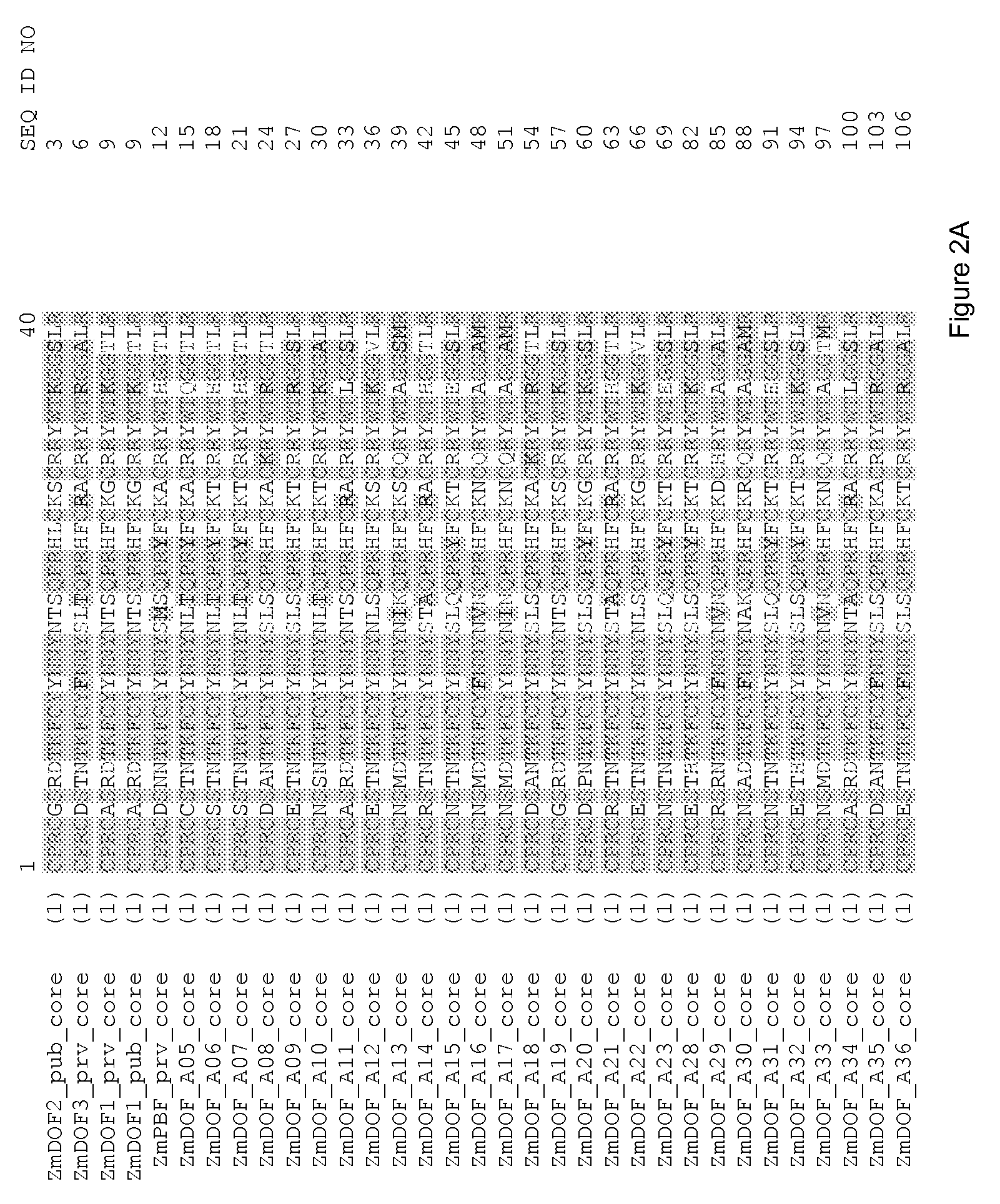 Dof (dna binding with one finger) sequences and methods of use