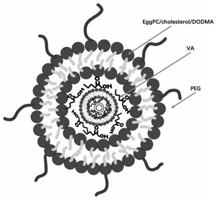 Pharmaceutical composition for treating hepatocellular carcinoma and application thereof