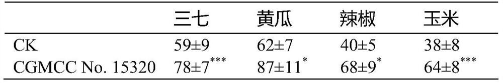 Bacteria with resistance to plant soil-borne diseases and uses thereof