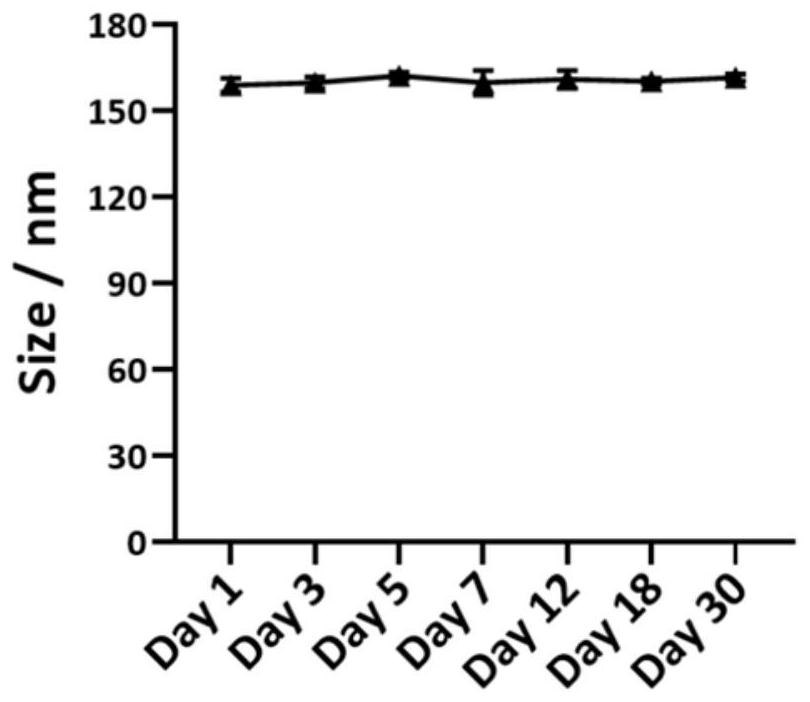 Nanoformulations for topical and systemic fat reduction and uses thereof