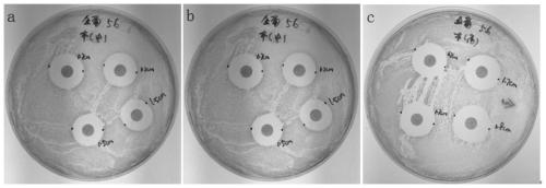 Virus delivery culture medium, and preparation method and application thereof