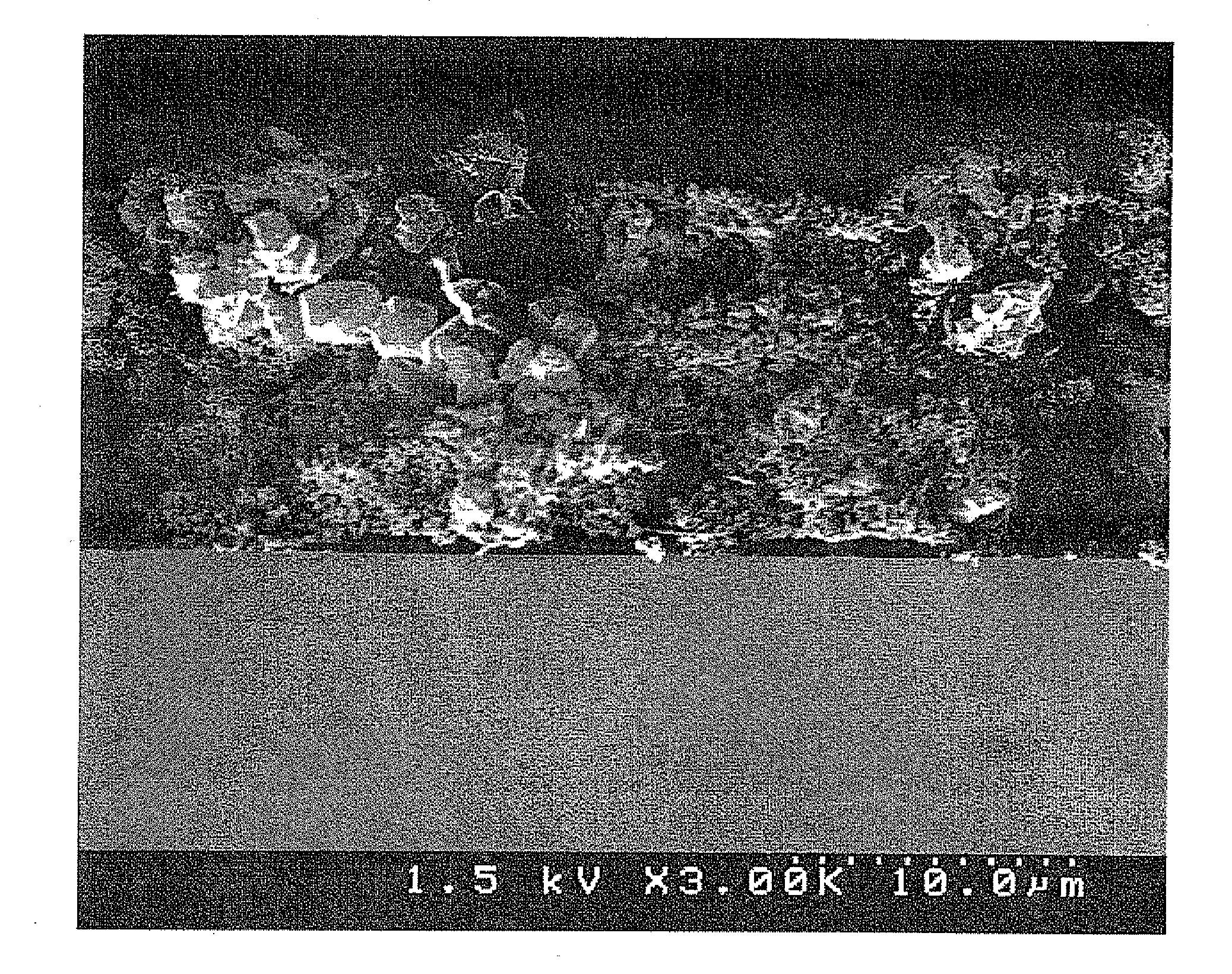 Electrode plate for non-aqueous electrolyte secondary battery, method for producing the same, and non-aqueous electrolyte secondary battery