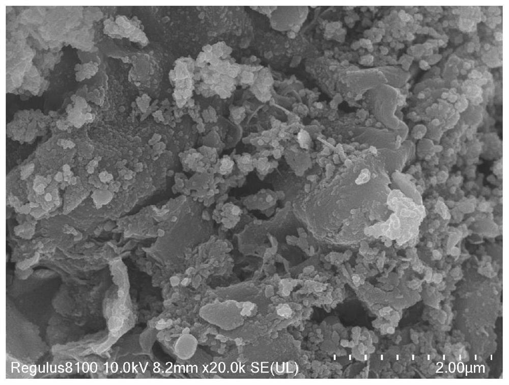 Nitrogen-doped magnetic graphene oxide confinement iron-cobalt bimetallic monatomic composite material as well as preparation method and application of nitrogen-doped magnetic graphene oxide confinement iron-cobalt bimetallic monatomic composite material