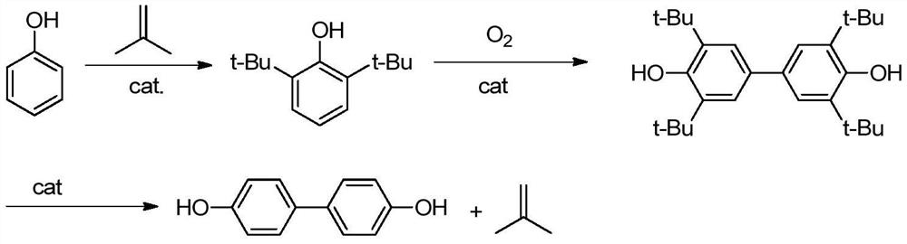 A kind of method adopting loop reactor to synthesize 4,4'-dihydroxybiphenyl