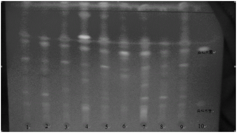 A kind of quality detection method of big leaf jack