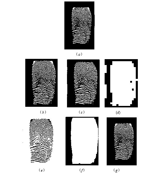 Segmenting method of fingerprint image