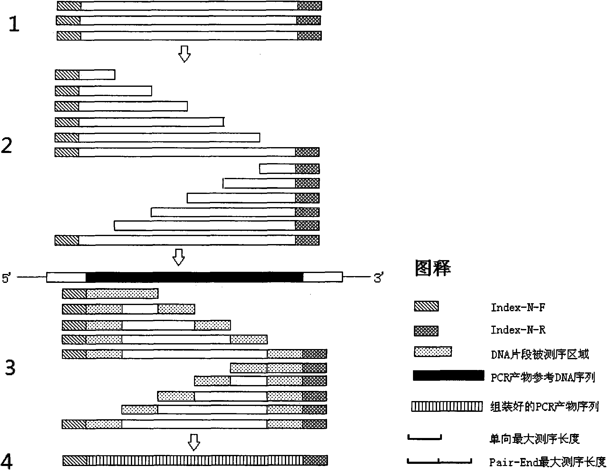 DNA molecular label technology and DNA incomplete interrupt policy-based PCR sequencing method