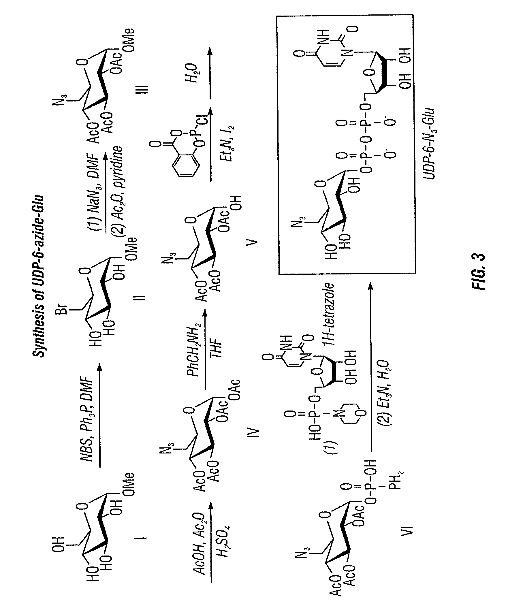 Composition and methods related to modification of 5-hydroxymethylcytosine (5-hmC)