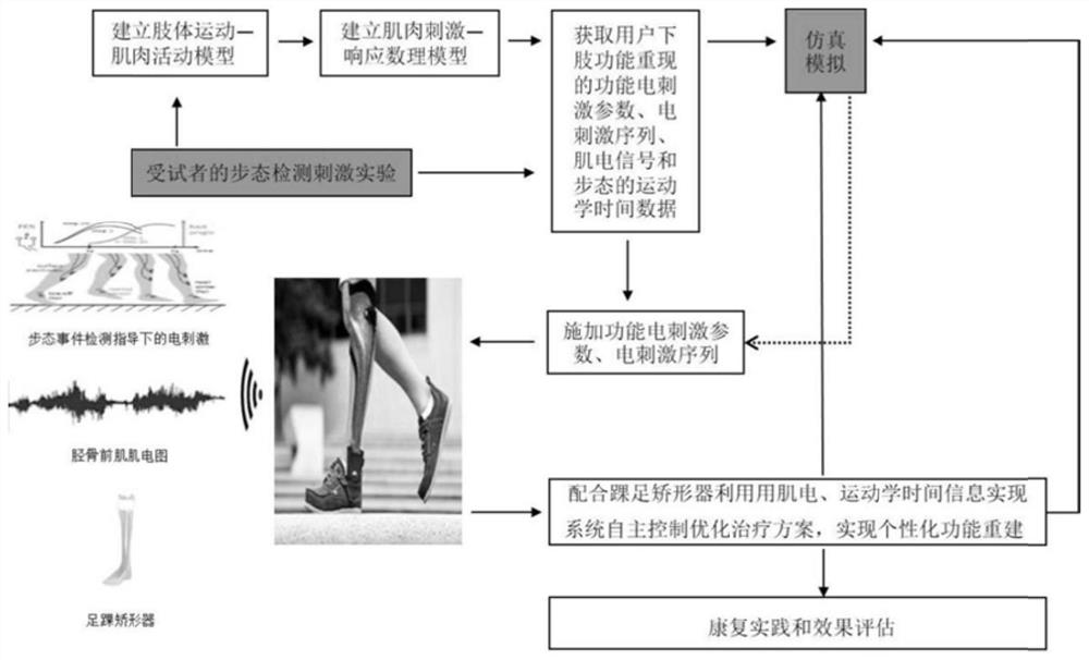A gait acquisition and neuromuscular electrical stimulation system based on multi-sensor fusion