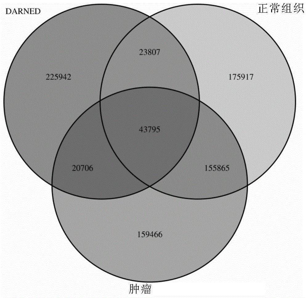 A feature analysis method for RNA editing sites