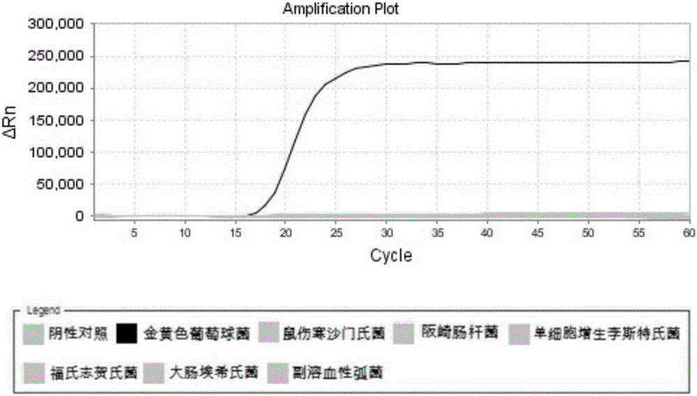 LAMP primer group and detection kit for staphylococcus aureus and use method of detection kit