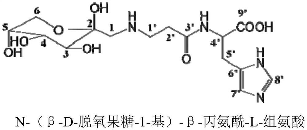 Umami enhancer as well as preparation method and application thereof