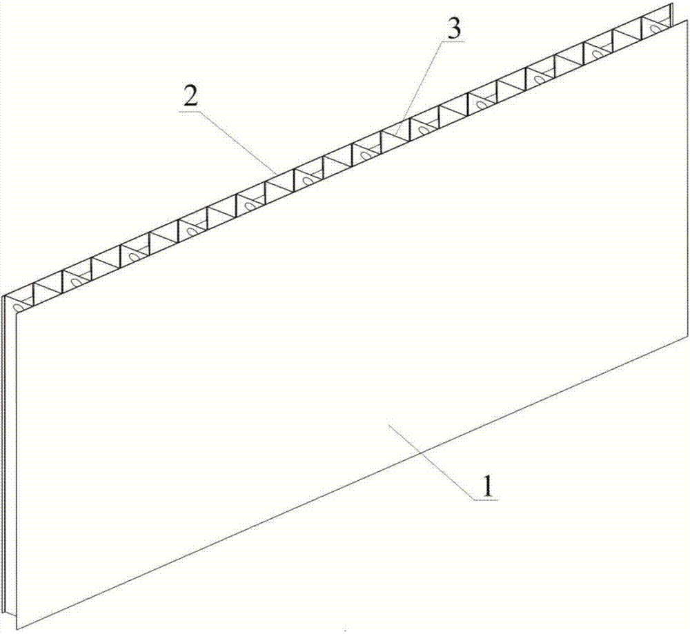 Hangar door body structure with icing prevention function and manufacturing process thereof