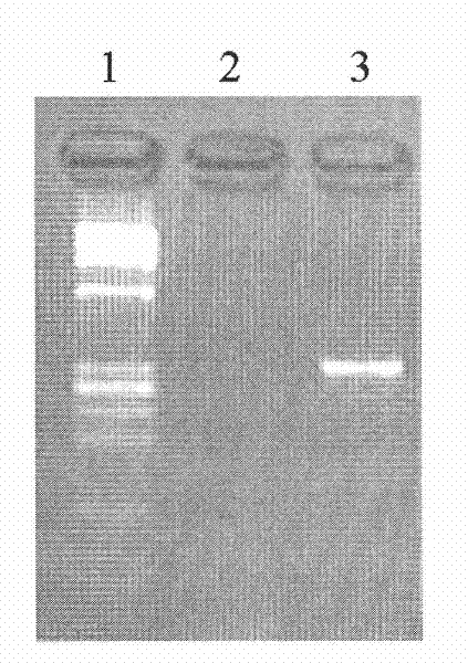 Method for washing and recycling membranate glass slide for microdissection