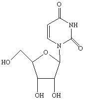 Novel method for synthesizing uridine