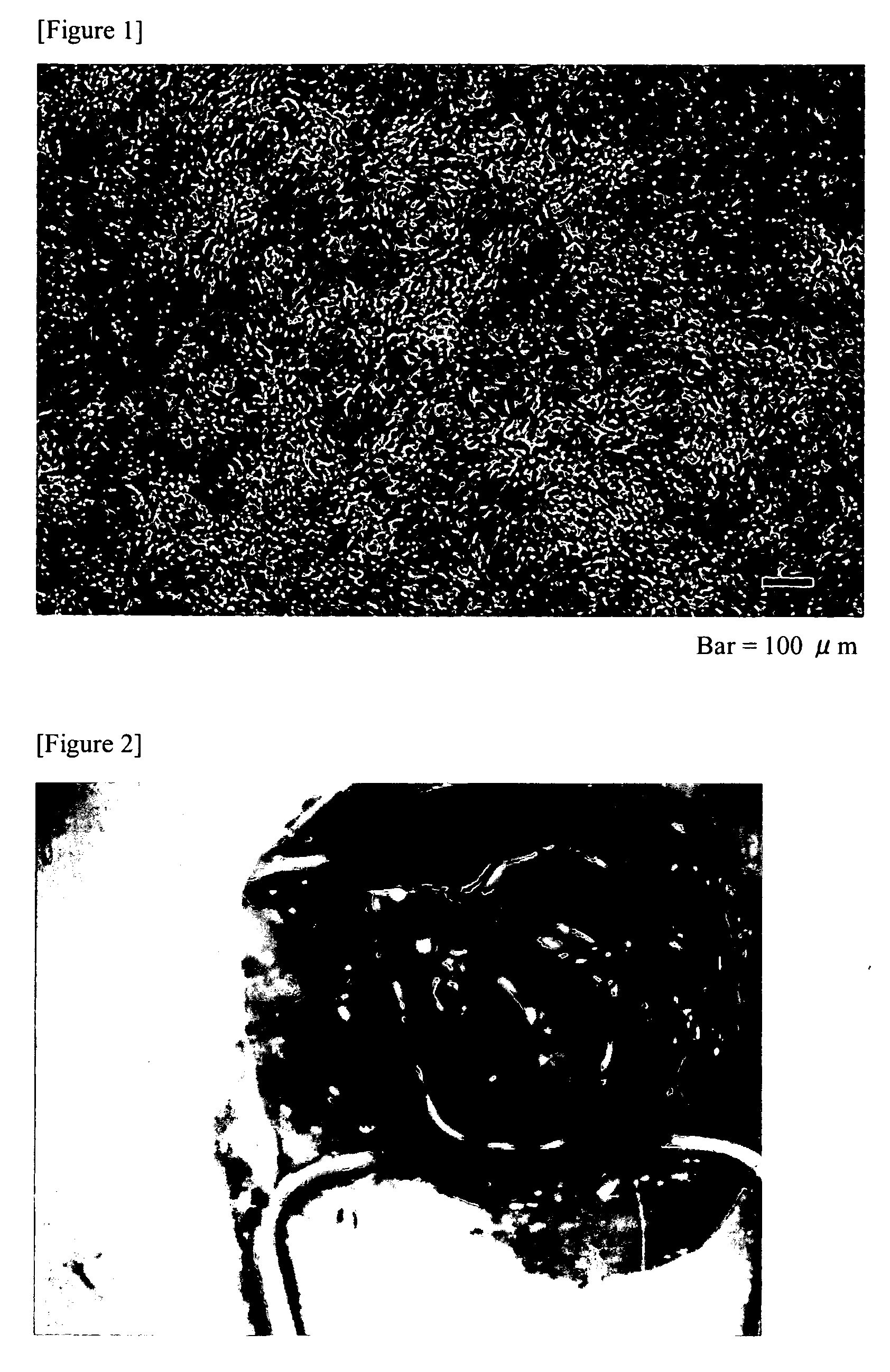 Cultured Cell Sheet, Production Method and Tissue Repair Method Using Thereof