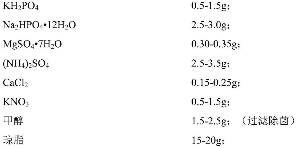 A kind of Streptomyces Nashville and its identification method and application