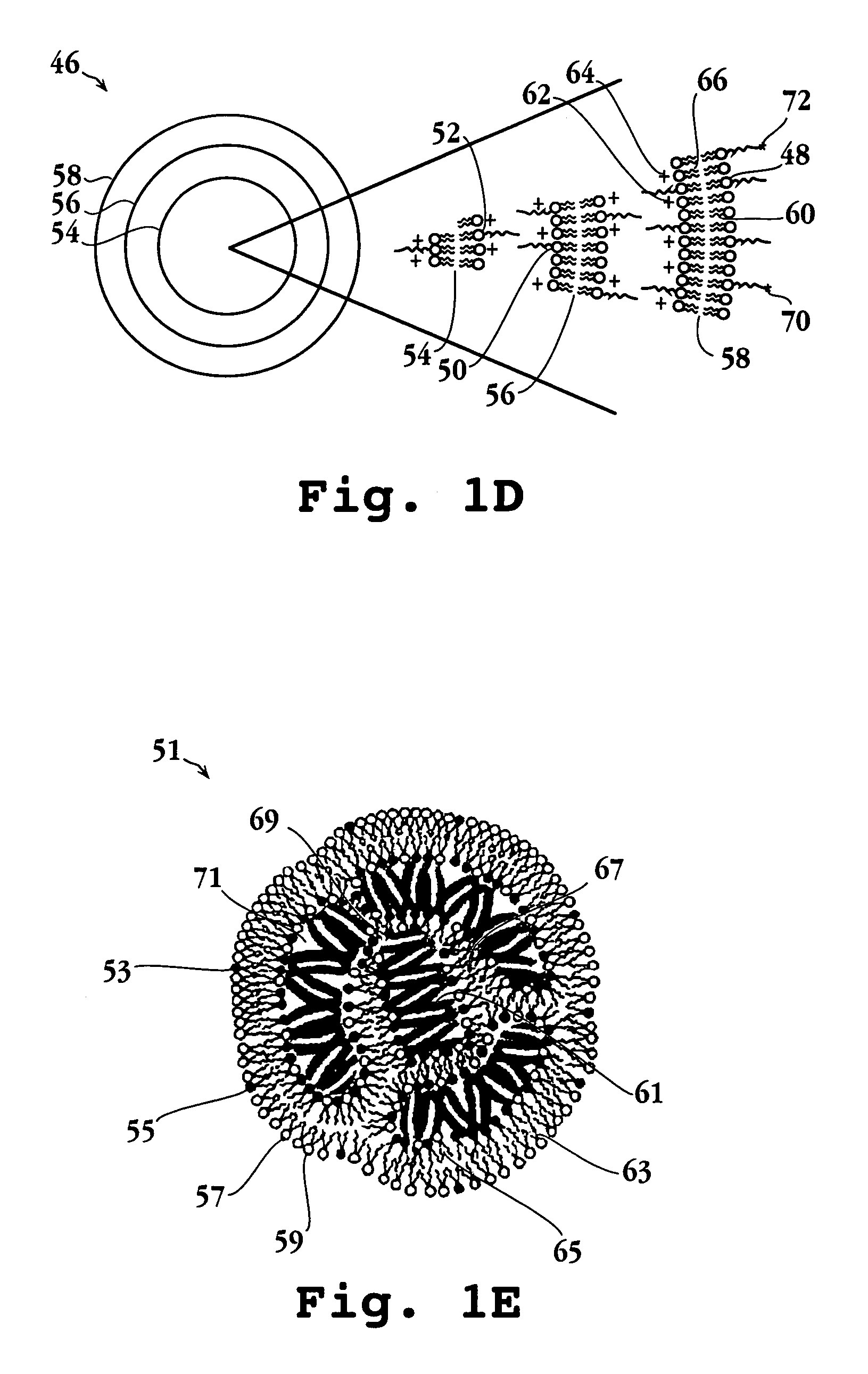 Lipid particles having asymmetric lipid coating and method of preparing same