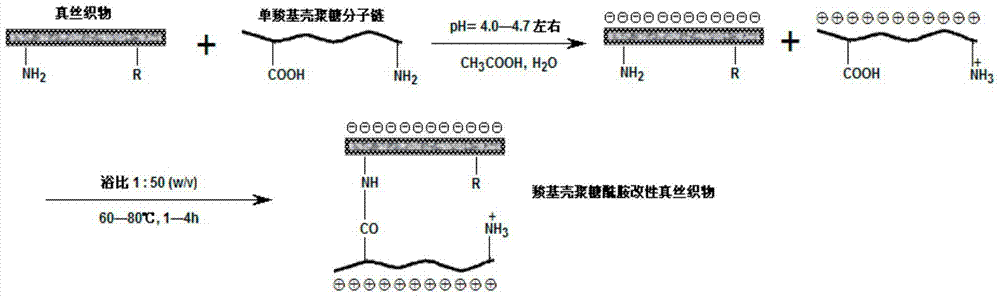 A kind of water-soluble antibacterial monocarboxyl chitosan and its preparation method and application