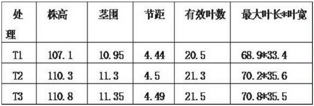 Organic fermented sesame cake fertilizer particle