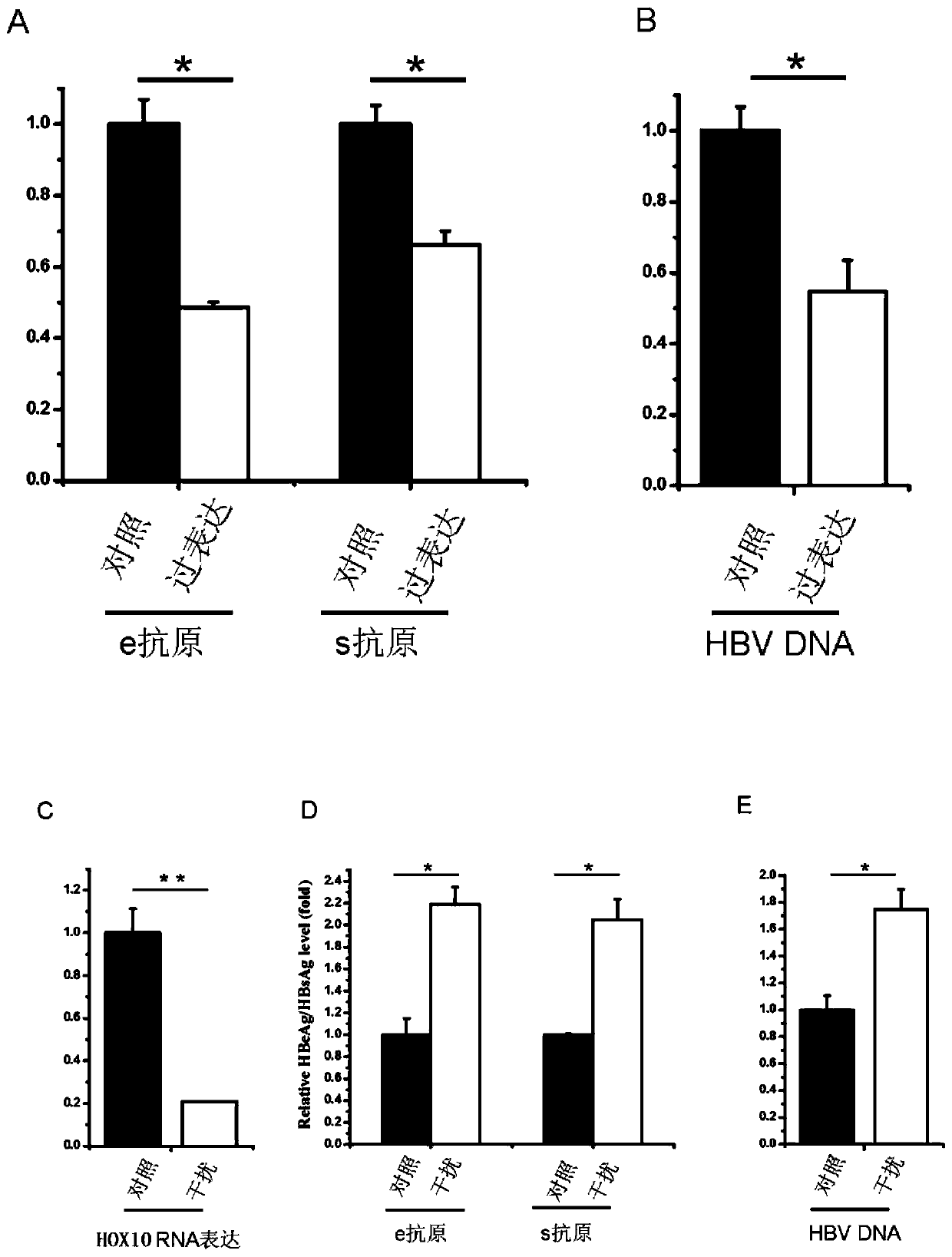 Application of a kind of human homeobox protein a10 in the preparation of medicine for treating or preventing hepatitis B virus infection