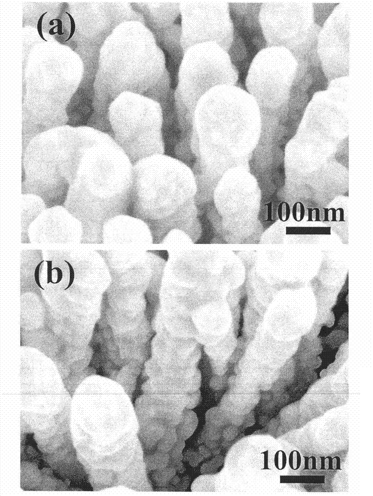 Silver nanoparticle-modified zinc oxide nanorod array and preparation method and application thereof