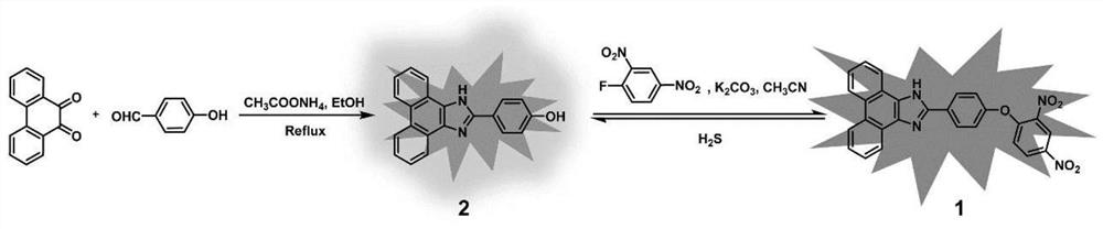 A detection h  <sub>2</sub> Fluorescent probe of s and its preparation method and use
